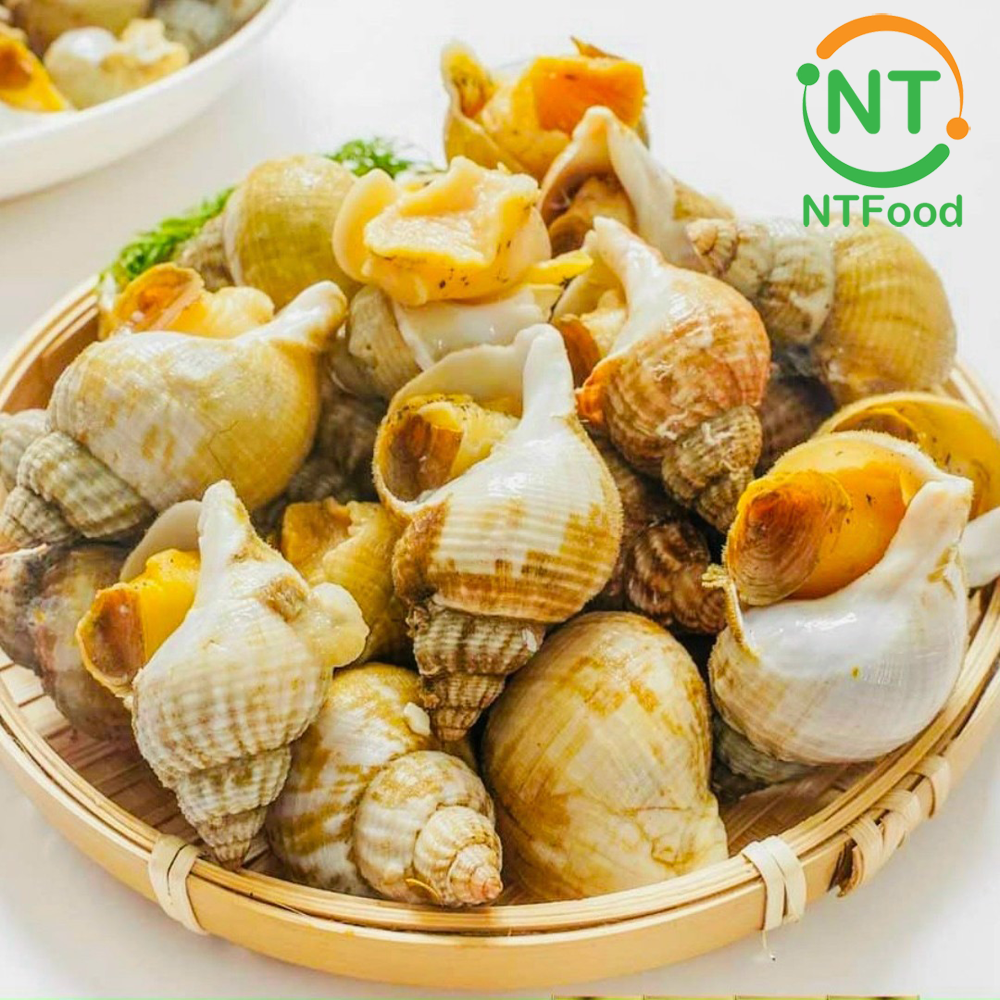 [HCM] Ốc Bulot Pháp Nhập Khẩu 1kg Size 20 - 30con/kg - Thích hợp với các món nướng mắm tiêu, nướng mọi, hấp sả, rang muối,... Nhất Tín Food