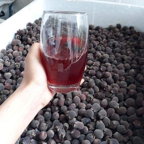 Quả sim rừng khô - 1kg