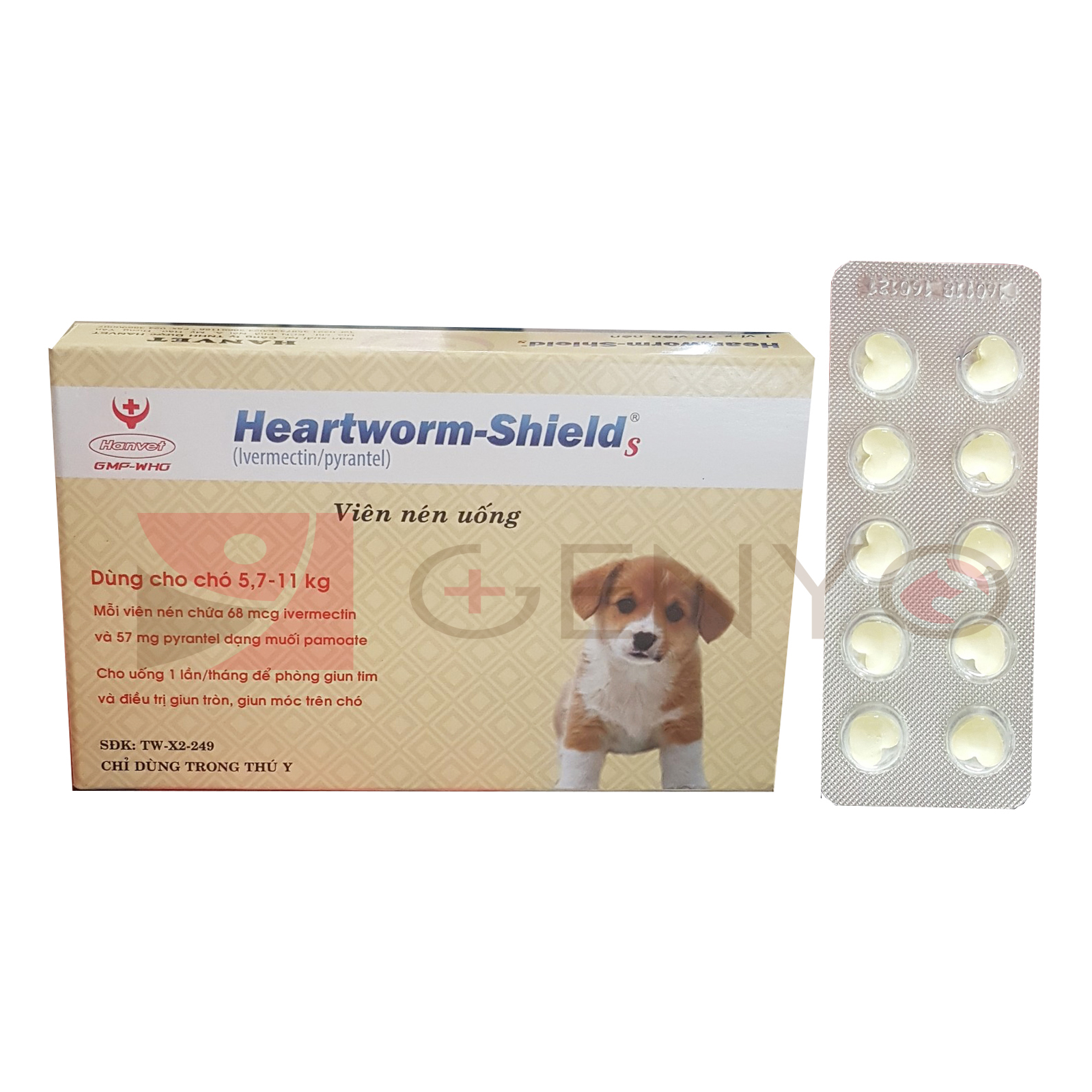 5 Viên uống trị ve ghẻ giun sán ký sinh trùng trên chó - Hanvet Heart Worm