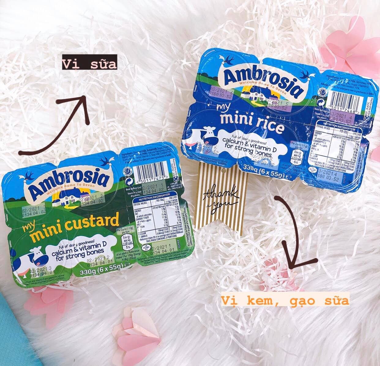 Váng sữa Ambrosia UK cho bé 6+