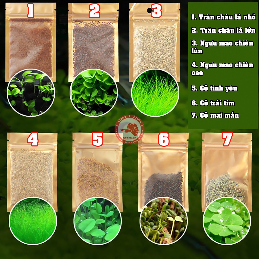 Combo 7 gói Hạt giống thủy sinh 7 loại hạt cho bể cá