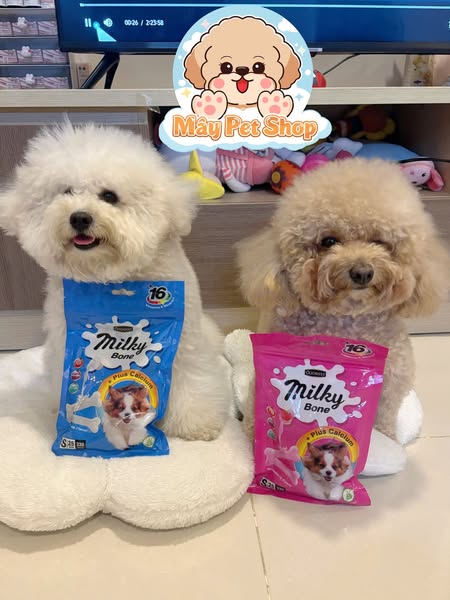 Xương Sữa Goodies Milky Bone Cho Cún Cưng