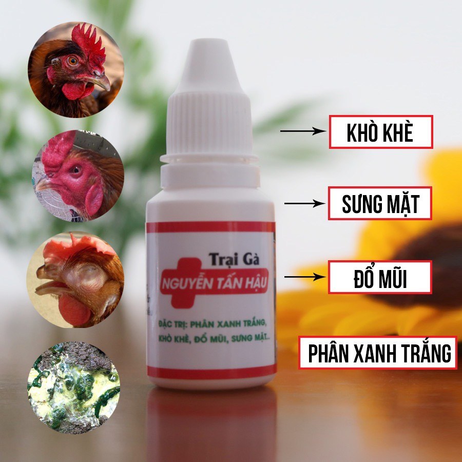 Trị phân xanh trắng , khò khè , chảy nước mũi , sưng đầu mặt và bọt mắt cho gà siêu đỉnh