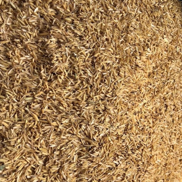1Kg Vỏ trấu khô trồng cây