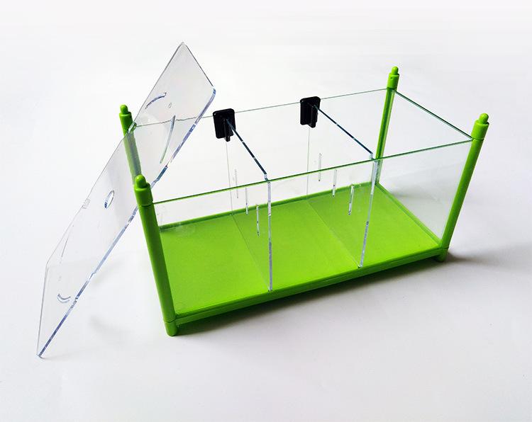 Bể ba cá chọi betta xếp tầng