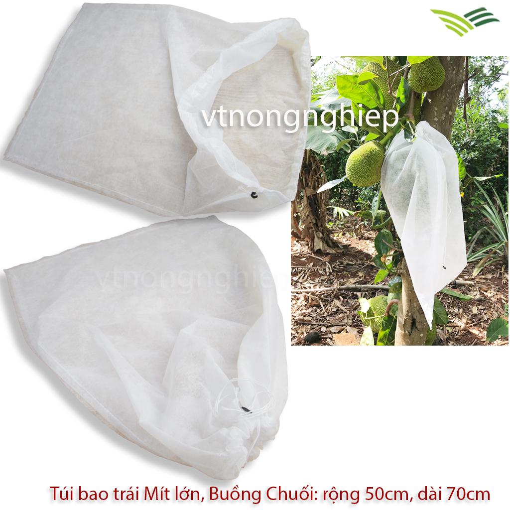 100 TÚI BỌC TRÁI MÍT kt:50x70