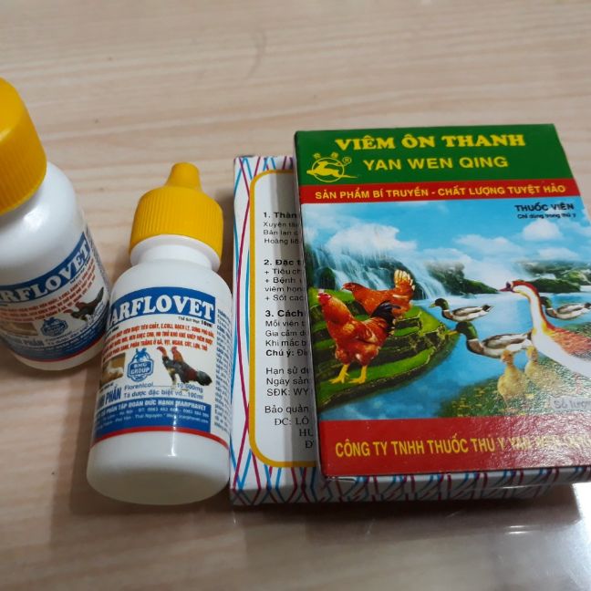 Bộ gà khò, viêm sưng họng, ho chảy mũi 2marflovet,2viêm ôn thanh