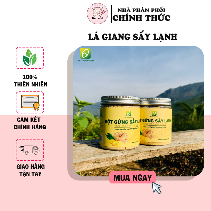 Bột gừng sấy lạnh the moshav farm 100% hữu cơ - tăng đề kháng sức khoẻ, giảm cân, làm gia vị cho các món ăn