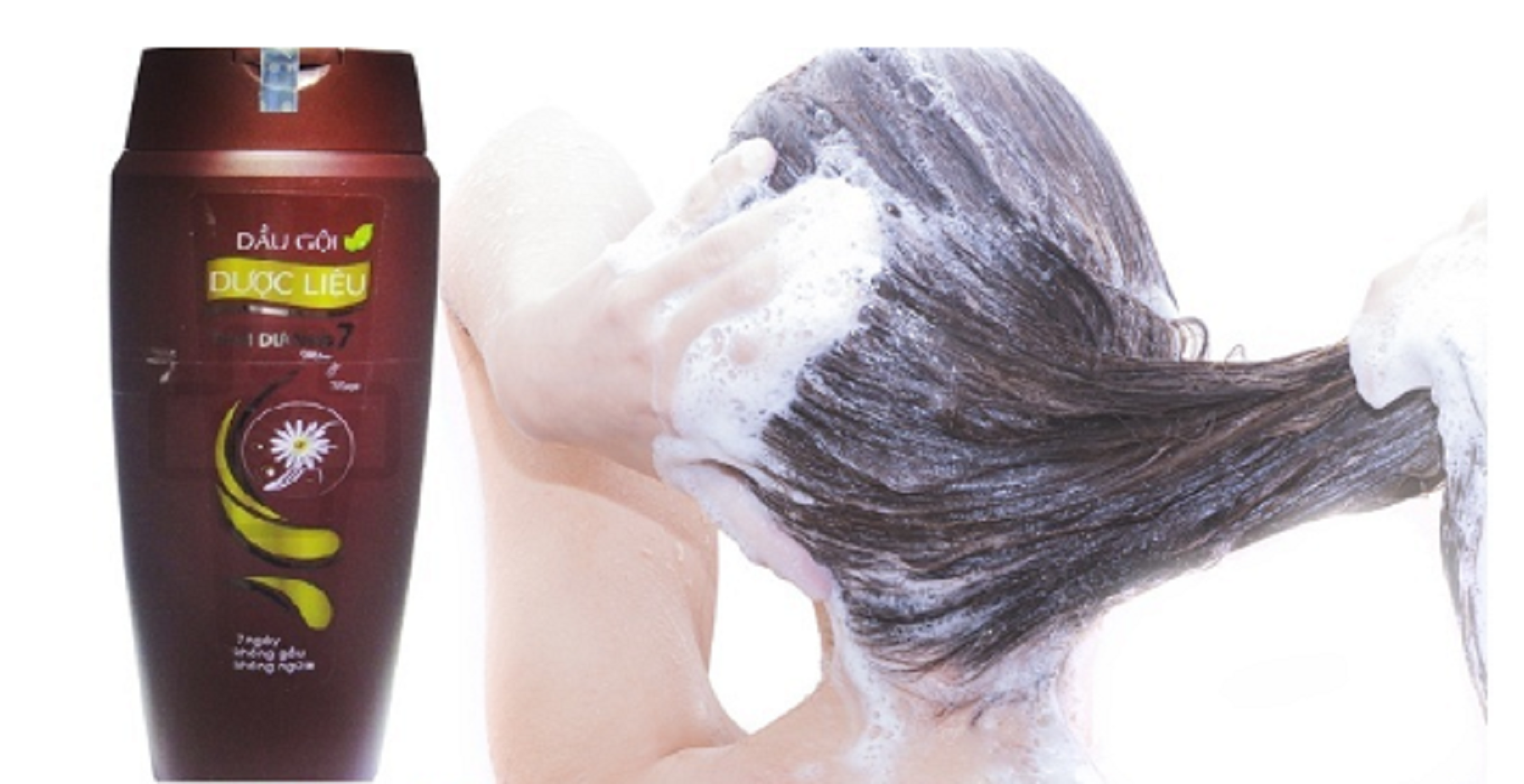 Dầu gội dược liệu Thái Dương 7 trị sạch gàu, kích thích mọc tóc