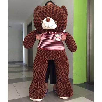 Gấu bông teddy khổ vải 1m7 màu nâu lông xoắn 3D cực đẹp