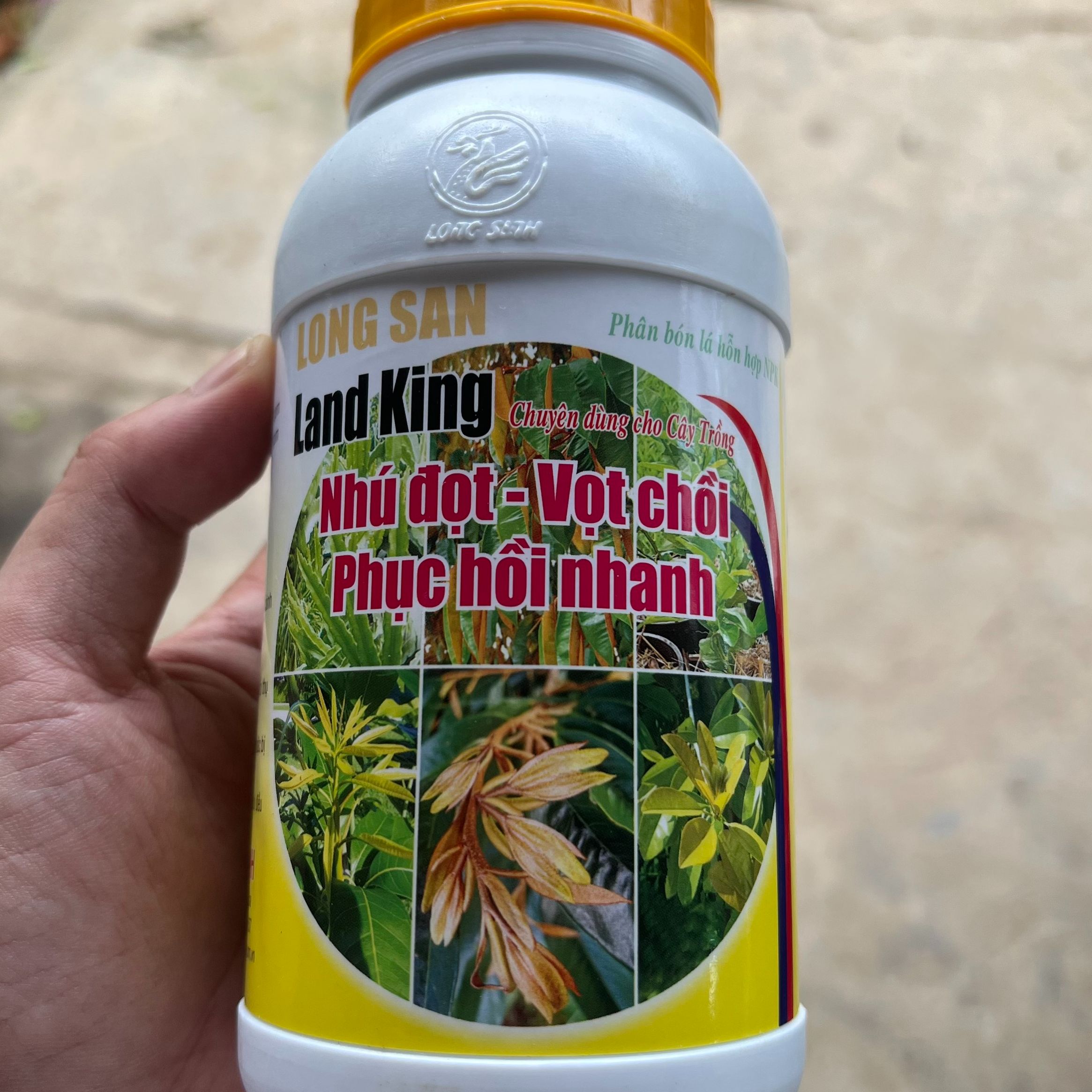 Phân bón sầu riêng bung chồi đâm tược cứng cây tàn dù xanh cây mướt lá phục hồi cây