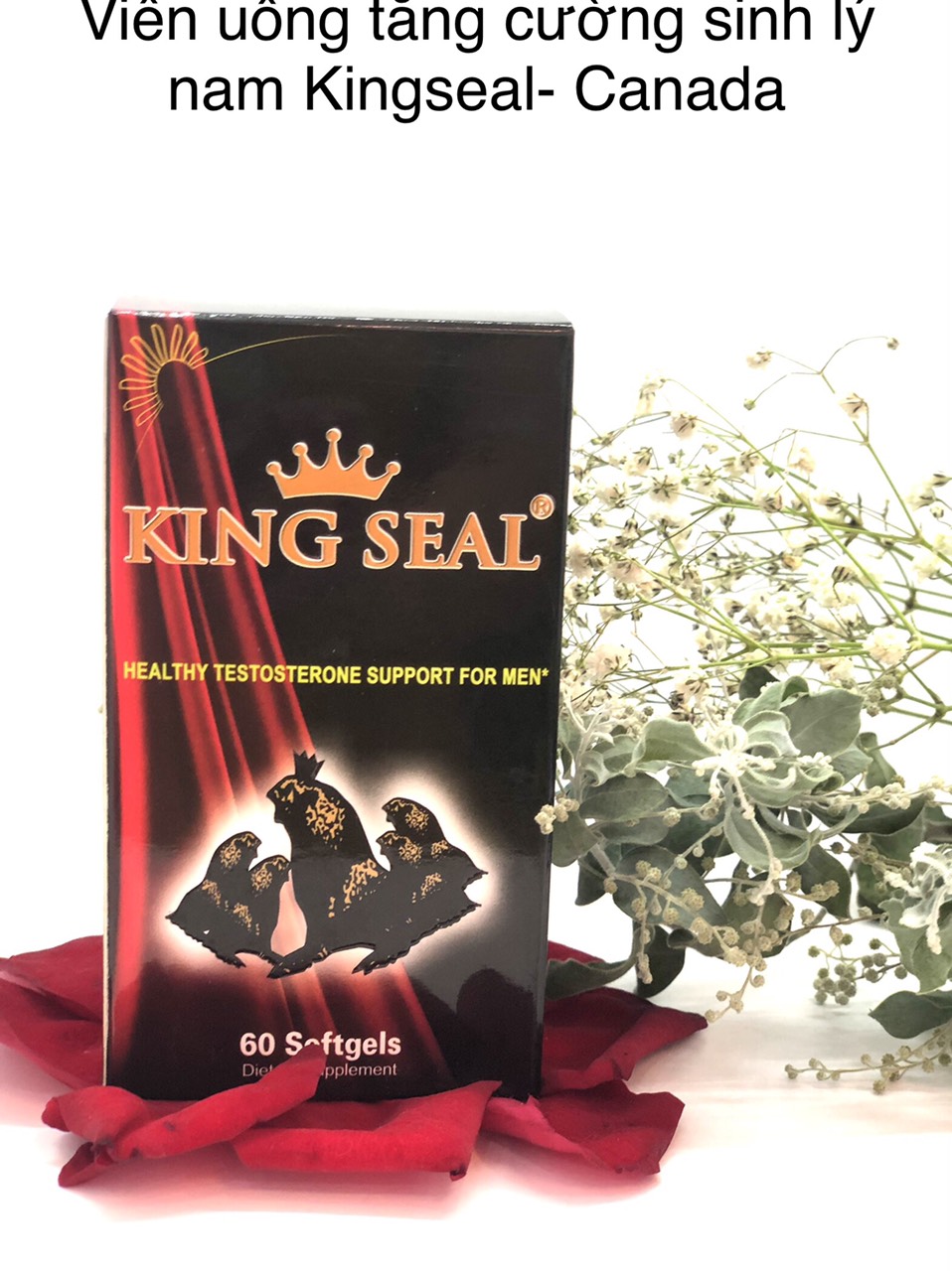 King seal cải thiện sinh lý nam giới 60v - Canada