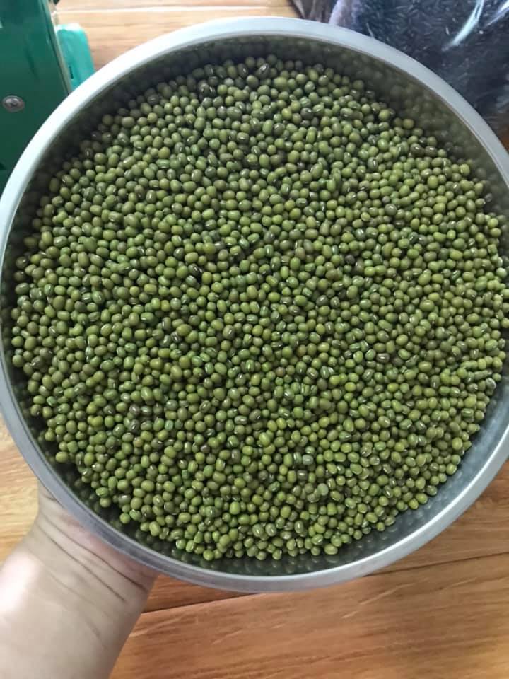 500g đỗ xanh chuyên làm giá