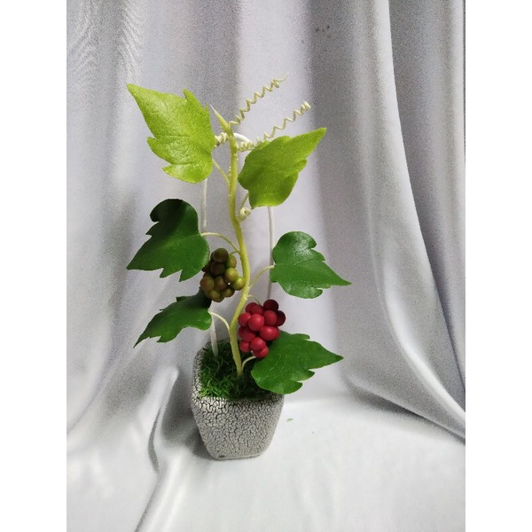 Chậu nho đất sét cao 25cm