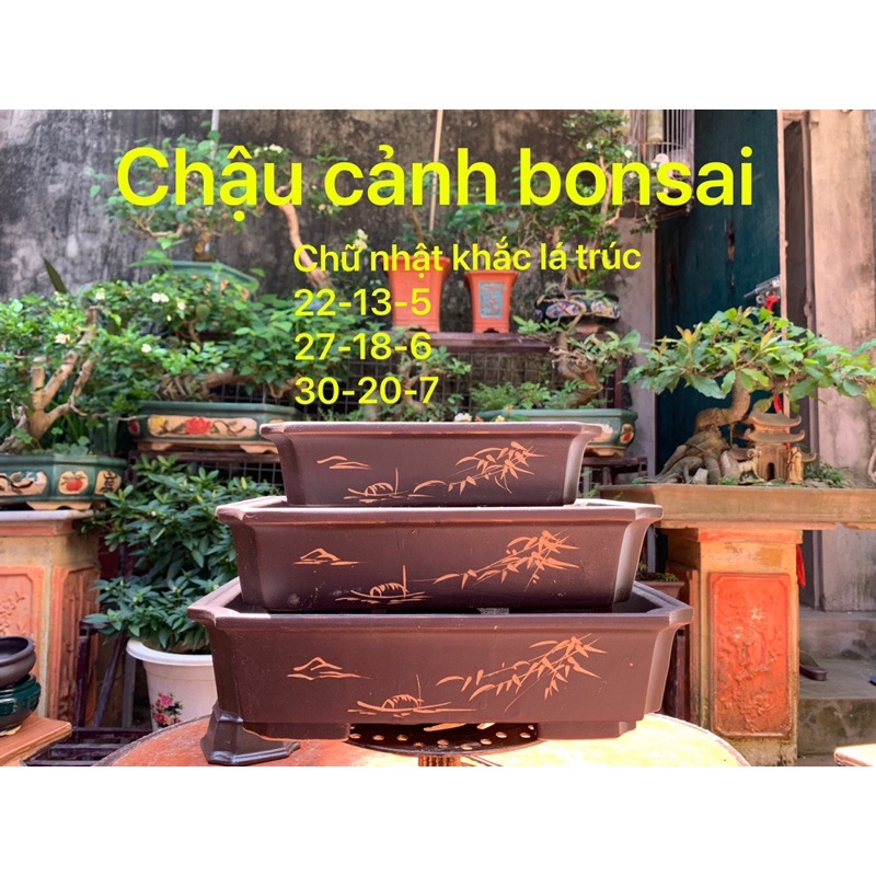 Bộ 3 chậu chữ nhật khắc lá trúc