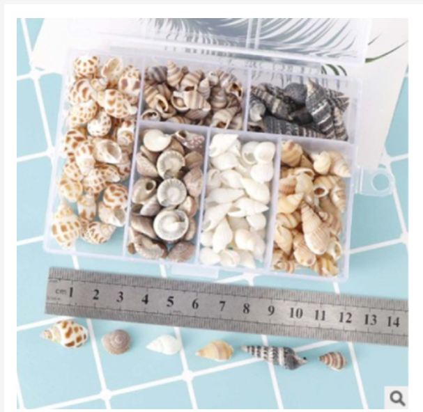 Phụ Kiện Vỏ Ốc Xà Cừ Trang Trí Resin 100G - Trường Thịnh Sài Gòn