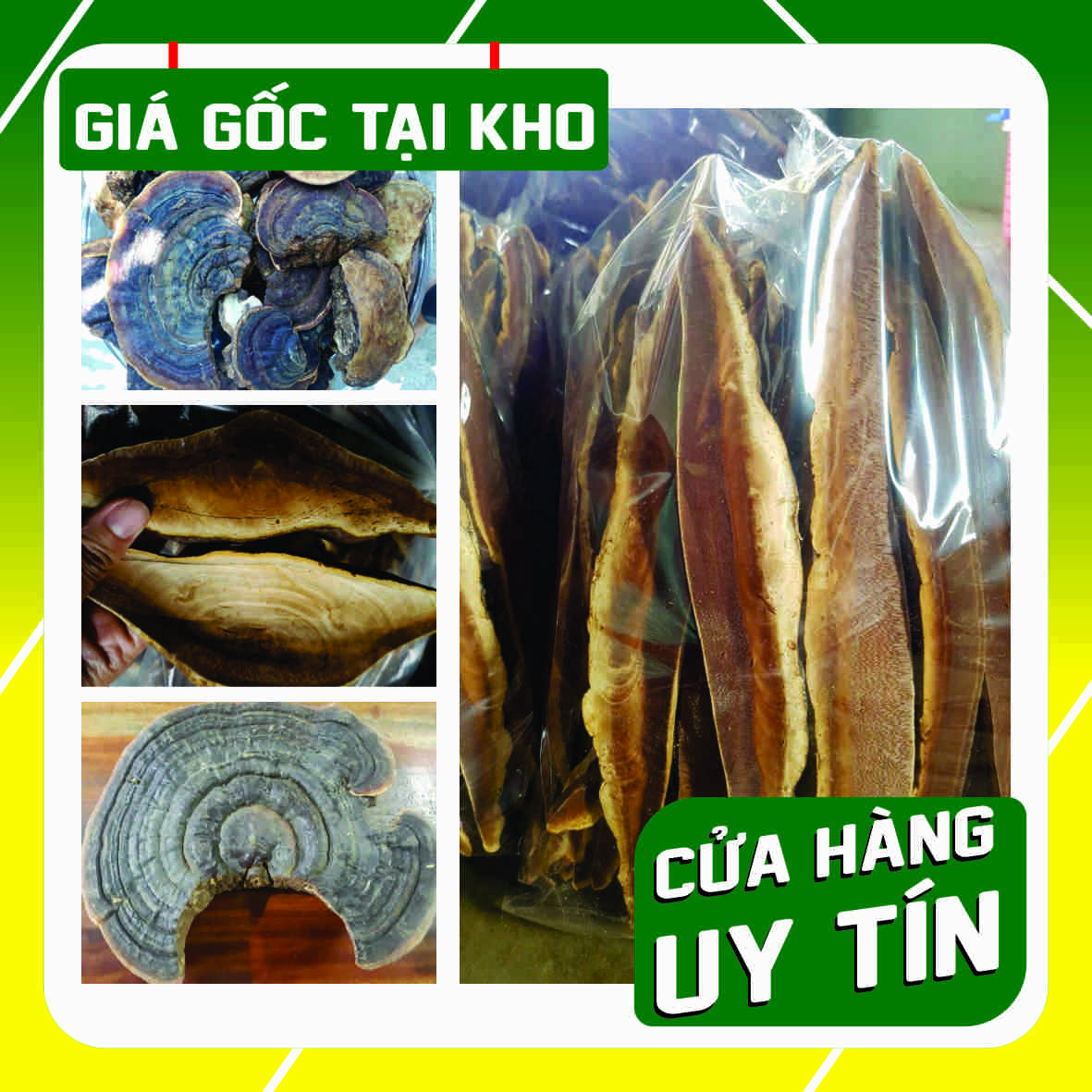 Nấm linh chi rừng thái lát, nguyên miếng - Đặc sản Tây Nguyên
