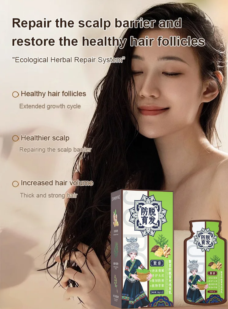 Anti-hair loss shampoo Ginger plant extract hair care shampoo