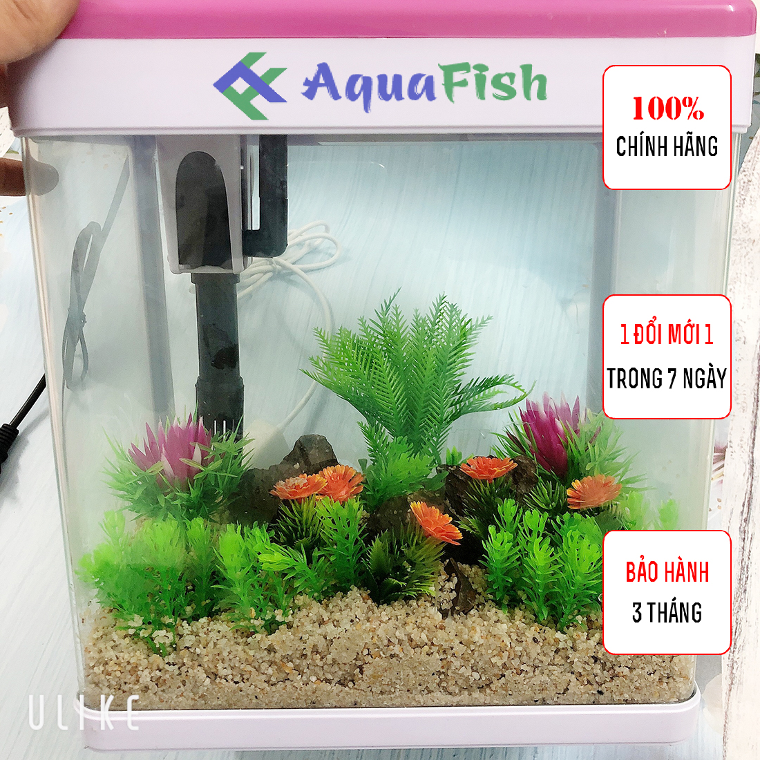 Bộ Bể Cá Bằng Kính Đúc MJ 260 Kích Thước 26*17*29cm (đã bao gồm đèn và bộ lọc)