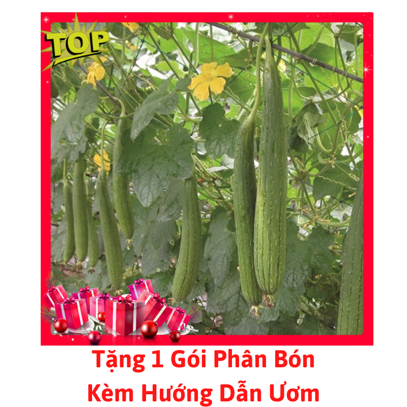 [Lấy mã giảm thêm 30%] Gói Hạt Giống Mướp Hương Thái Lan