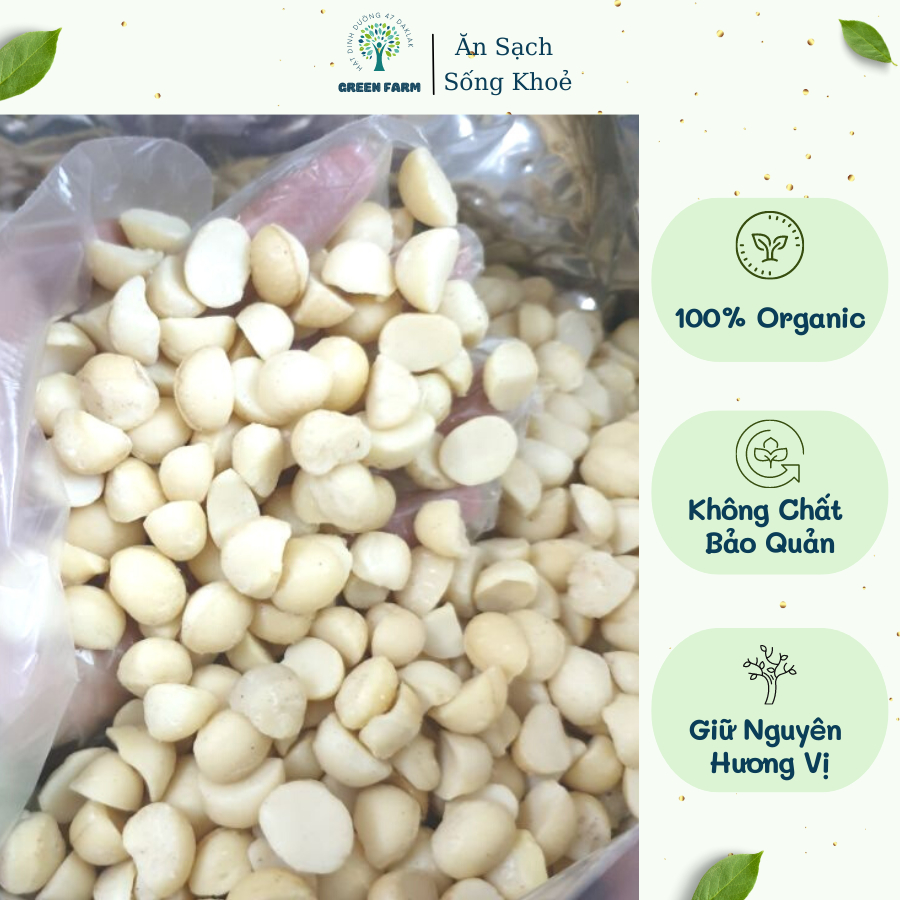 1KG Nhân macca vỡ đôi Daklak đã sấy chín làm sữa, làm bánh, Nhân Mắc Ca Bể Ngon Béo Đã Sấy Chín Green Farm