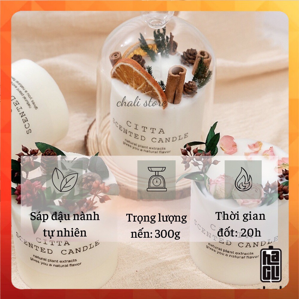 Set Quà Tặng Kèm Đế Gỗ] Nến Thơm Citta Trang Trí Hoa Khô Tự Nhiên Set Quà Tặng Sang Trọng