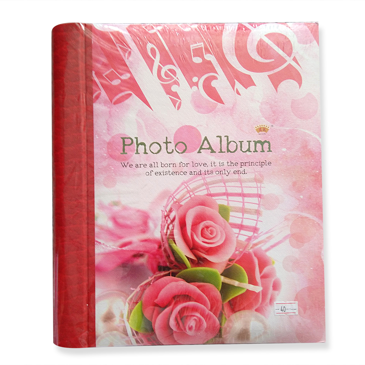Album dán ảnh 40 tờ 24x29 cm gáy lò xo. Giao màu ngẫu nhiên