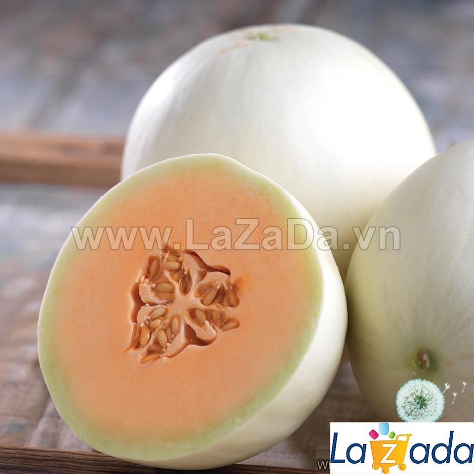 30h Hạt Giống Dưa Lê Thịt Cam Honey Rất Thơm (B3.402| A2*V43*M571)