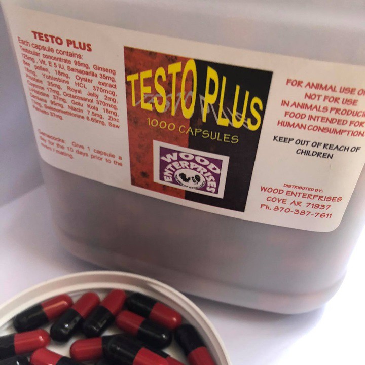 Testo plus cho gà đá - chiết 100 viên