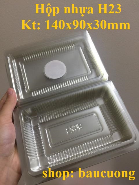100 hộp nhựa PET trong H23