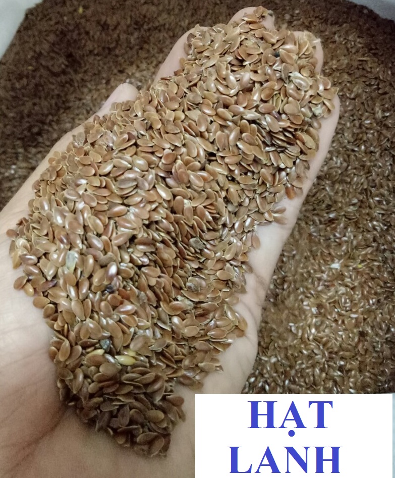 200g hạt lanh nâu cho yến phụng finchyến hót7 màu