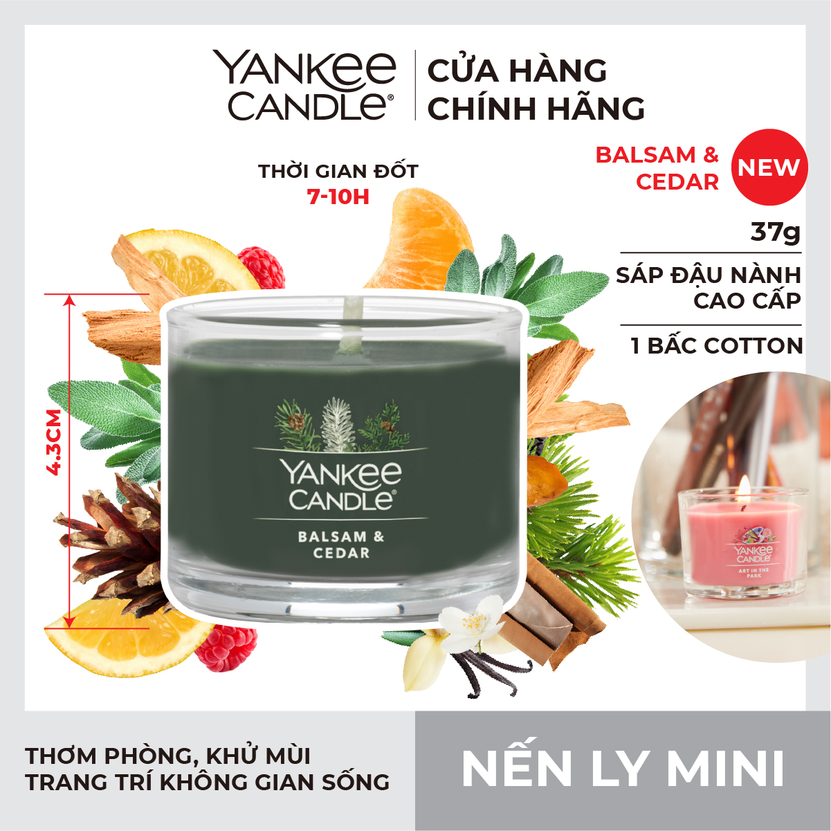 Nến ly mini Yankee Candle - Balsam & Cedar