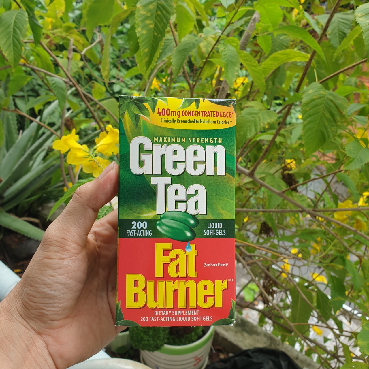 GREEN TEA FAT BURNER USA GIẢM CÂN TRÀ XANH Hộp 200 viên