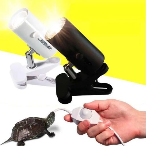 Đui đèn sưởi E27 có kẹp chuyên dụng cho thú cưng bò sát