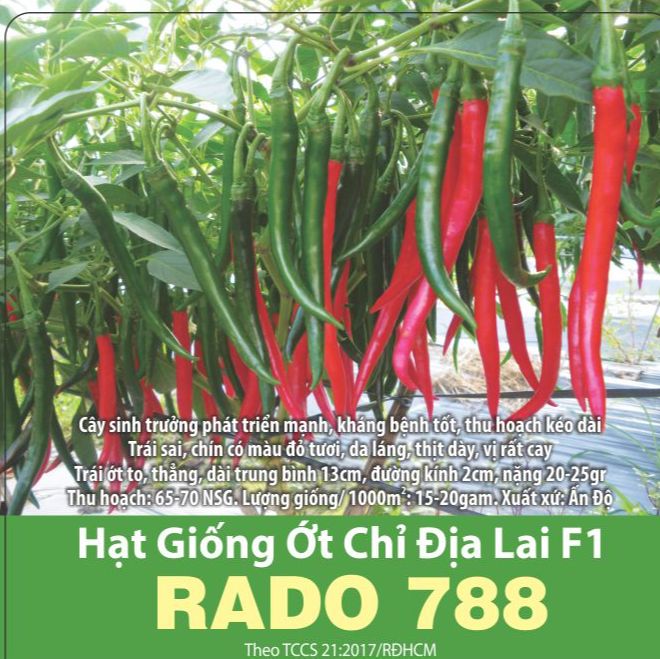 Hạt giống ớt chỉ địa sai trái