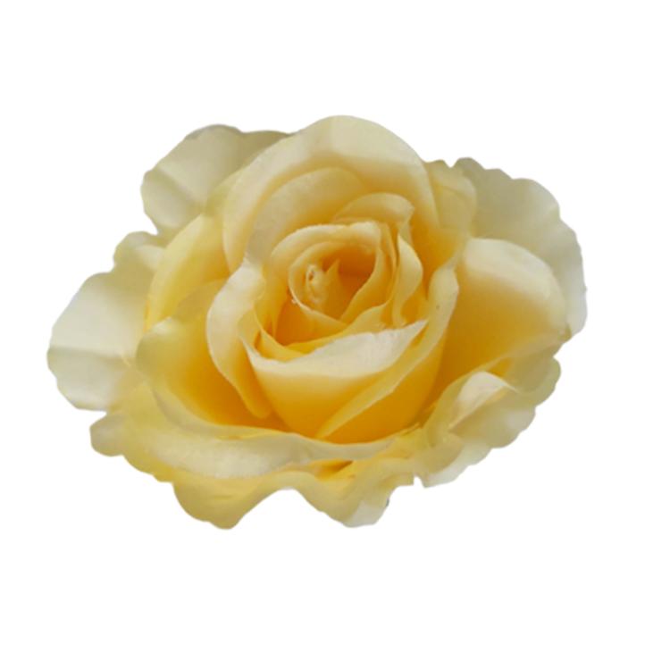 Hoa giả, hoa lụa, combo 10 bông hoa hồng nhung cao cấp cỡ lớn đường kính 11cm  làm cổng hoa cưới, trang trí vách hoa, tường hoa