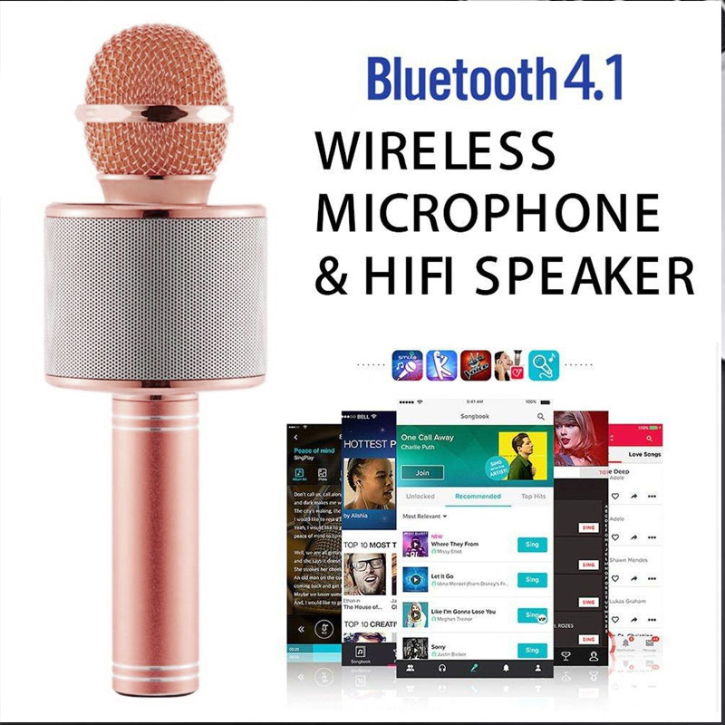 Micro không dây Karaoke WS 858 Bluetooth