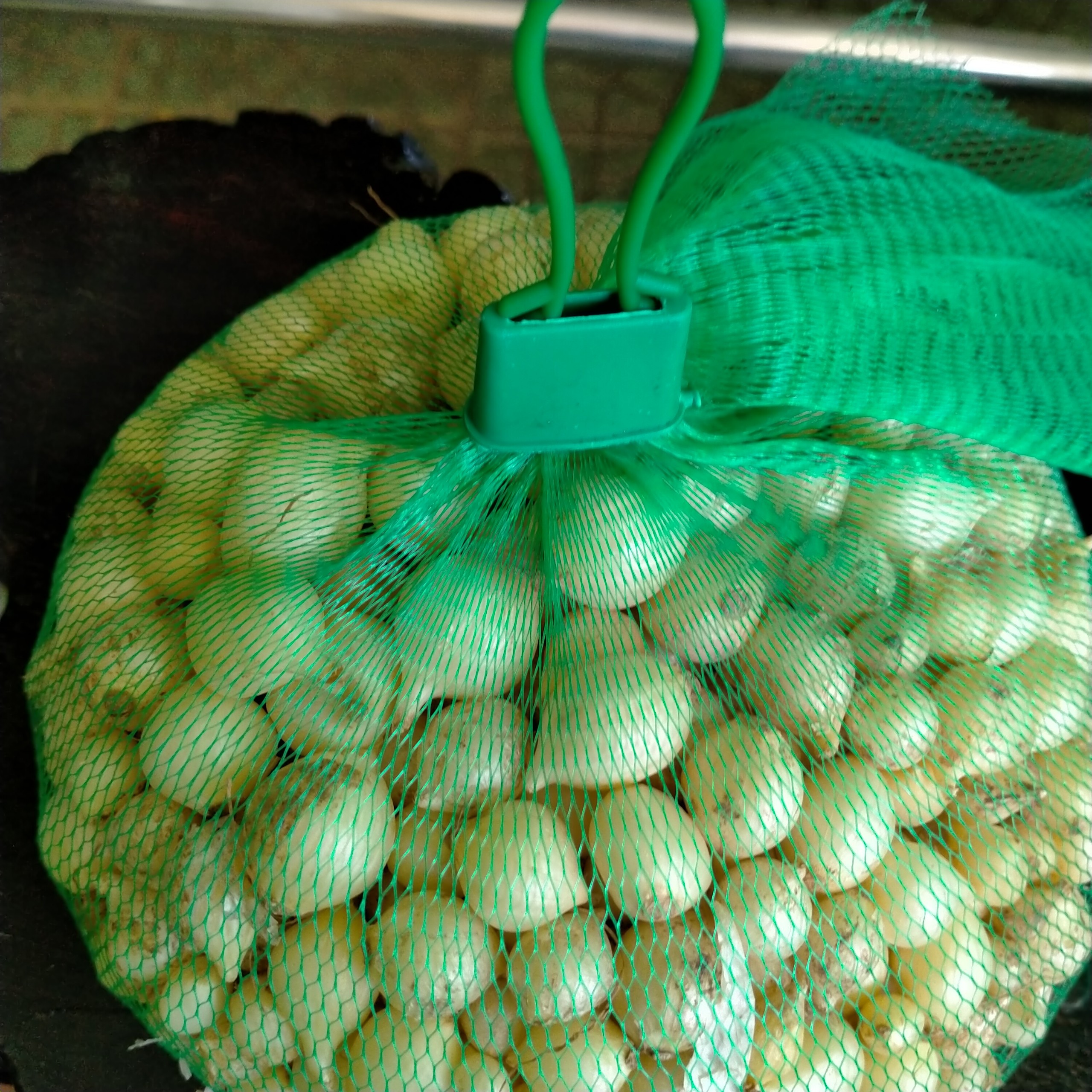 1kg Hành tăm ( củ nén , củ ném , hành trắng ) , ĐẶC SẢN QUẢNG TRỊ