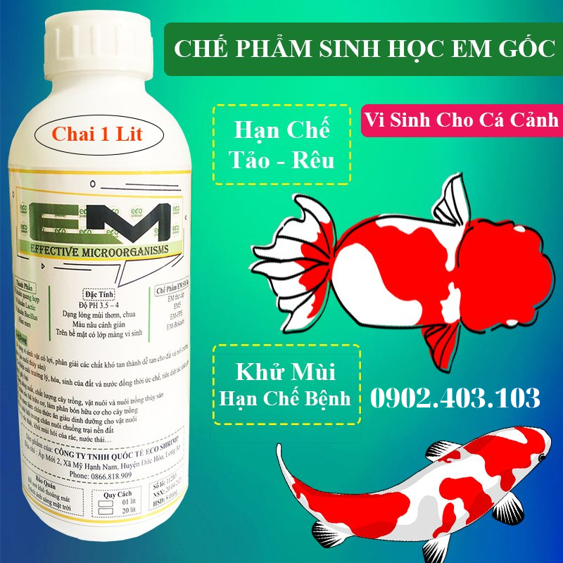 Chế phẩm sinh học EM GốcMen Vi Sinh chuẩn dùng cho hồ cá Koi, cá cảnh Từ 1 lít EM gốc sản xuất ra 40 lít thứ cấp
