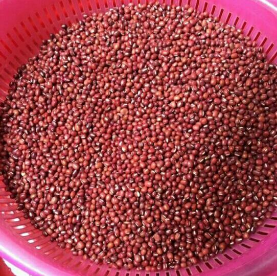 1kg hạt đỗ đỏ quê