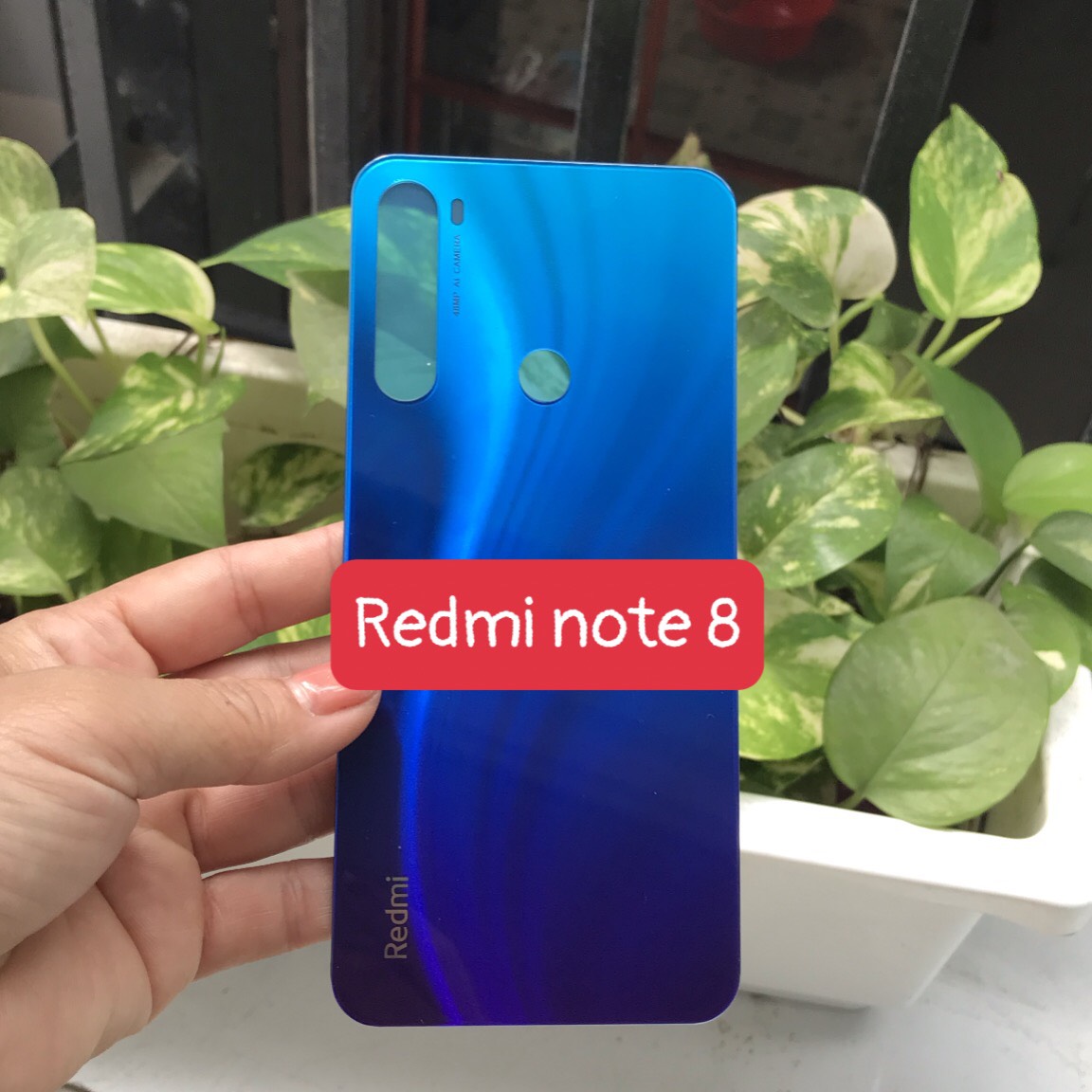 Kính lưng xiaomi Redmi note 8
