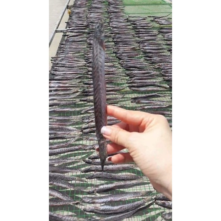 Khô cá kèo vuông Cà Mau size to, ngon lạt hàng loại 1, đặc sản Miền Tây, khô Kèo thiên nhiên hàng xuất khẩu