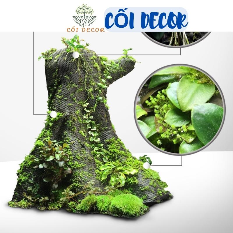 Lưới giữ ẩm bán cạn (Vải Hygrolon) dày 3mm dùng cho bể bán cạn, bể tiểu cảnh terrarium,  giữ ẩm cho rêu, cây ưa ẩm