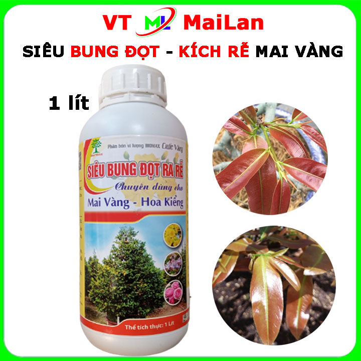 Siêu bung đọt Biomax ra rễ mai vàng
