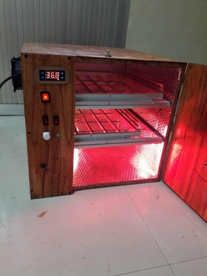 Máy ấp trứng tự động 100 trứng bằng gỗ xoan