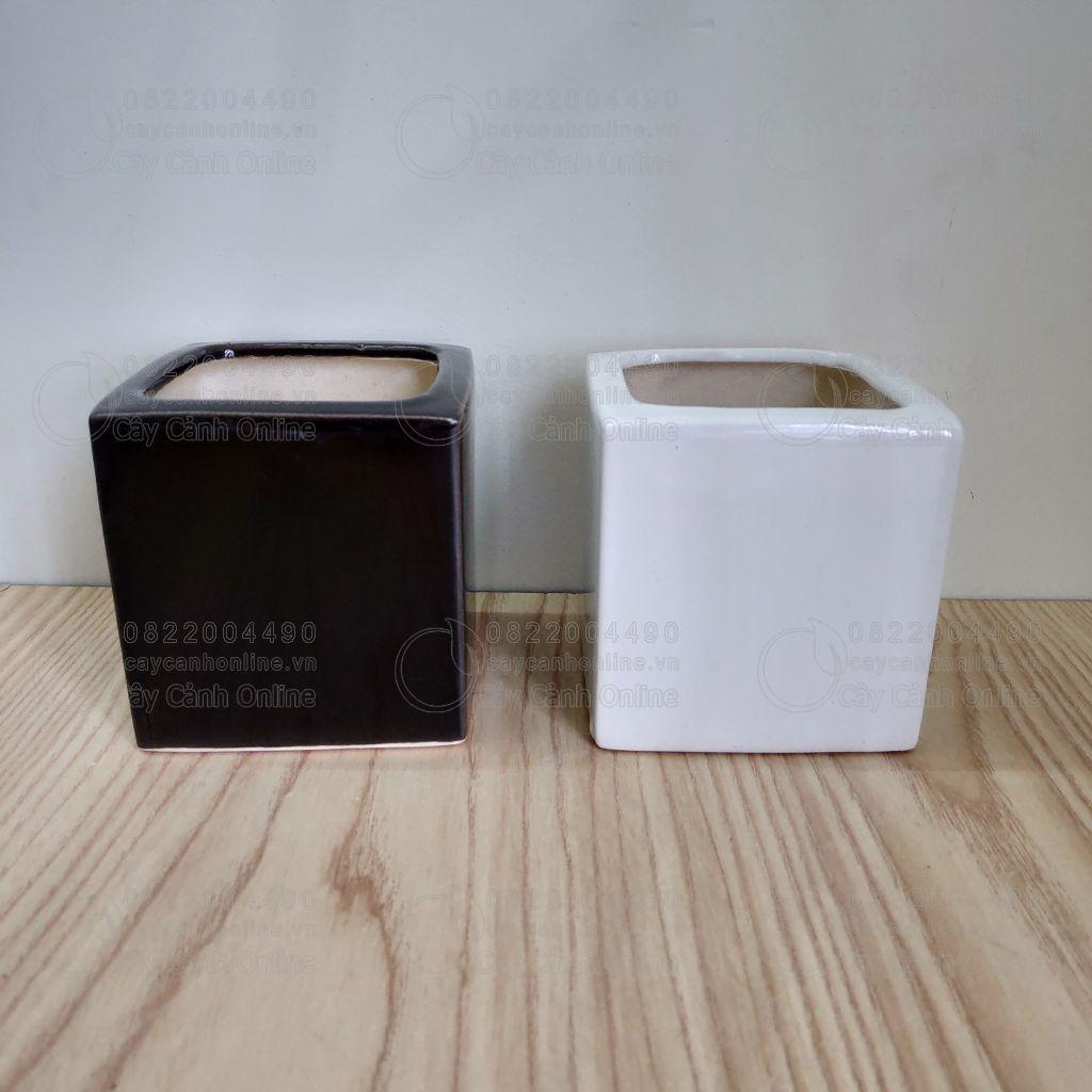 Chậu vuông mini - Chậu mini - Chậu trồng cây để bàn cây mini sen đá xương rồng