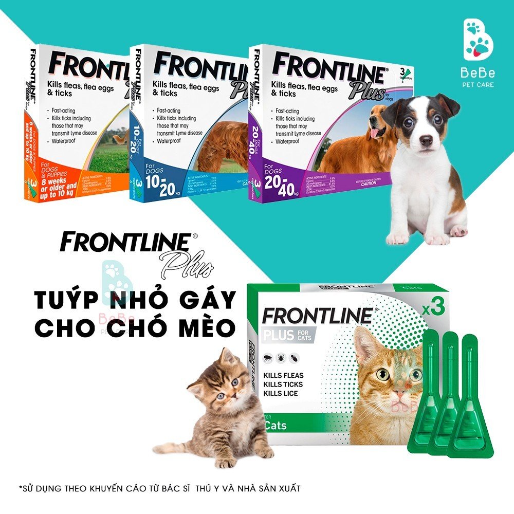 Frontline plus - nhỏ gáy phòng ngừa & loại trừ ve bọ rận cho chó mèo