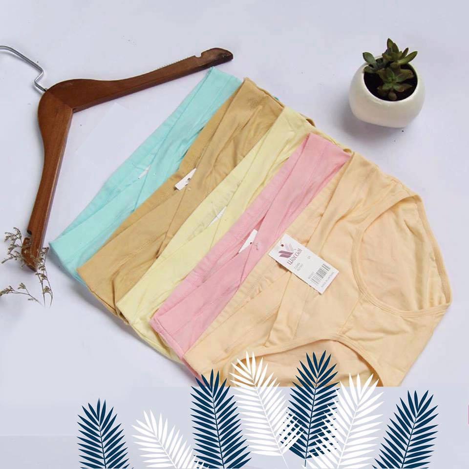 Sỉ 10 quần lót bầu cạp chéo cotton