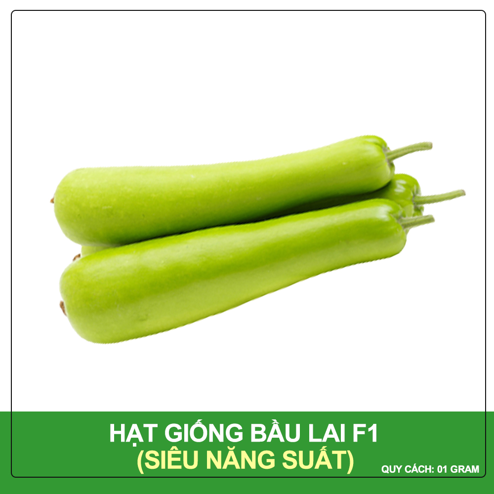 Hạt giống bầu lai king f1 phú nông gói 1 gram
