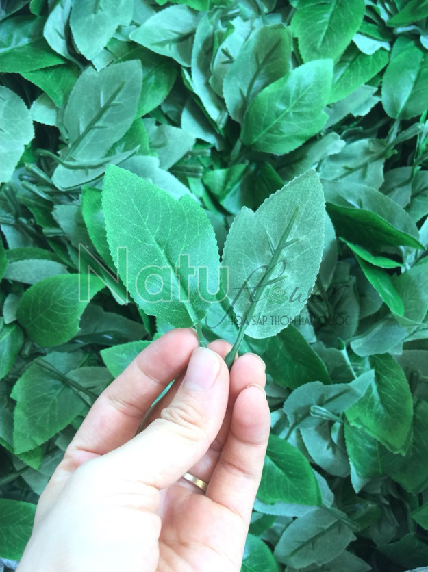 50 Lá hoa hồng giả lá đơn